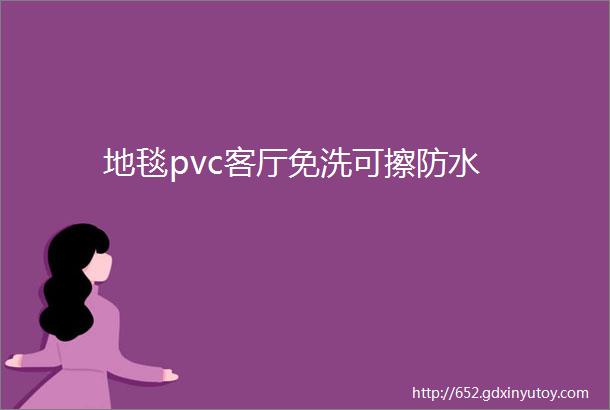 地毯pvc客厅免洗可擦防水