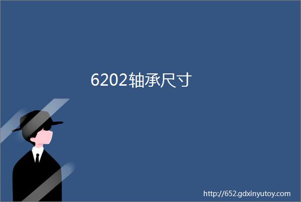 6202轴承尺寸