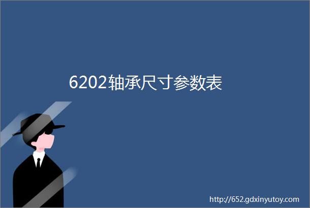 6202轴承尺寸参数表