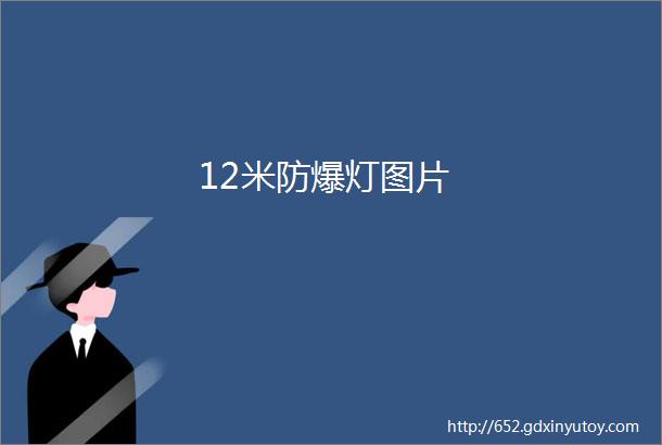 12米防爆灯图片