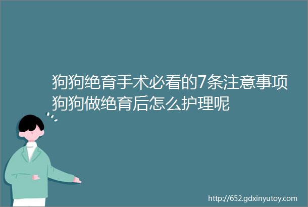 狗狗绝育手术必看的7条注意事项狗狗做绝育后怎么护理呢